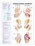 Arthritis posters