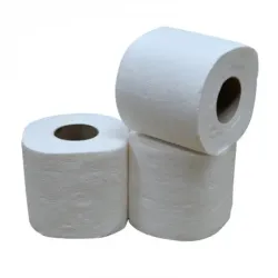 Toiletpapier 2-laags 10 x 4 rollen 