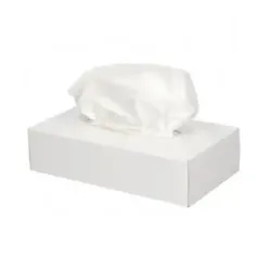 Facial  Tissue 2-laags 100 stuks 