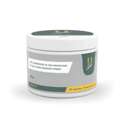 Zinc 60 stuks 