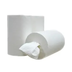 Handdoekrol Mini  Coreless 120 m x 19 cm 