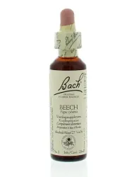 Bach Beech/beuk