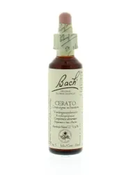 Bach Cerato/loodkruid