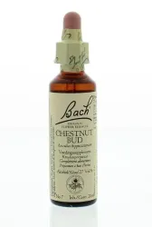 Bach Chestnut bud/kastanjeknop