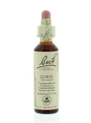Bach Gorse/gaspeldoorn