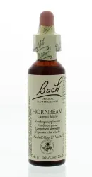Bach Hornbeam/haagbeuk