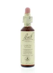 Bach Larch/lariks
