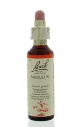 Bach Mimulus/maskerbloem