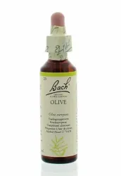 Bach Olive/olijf