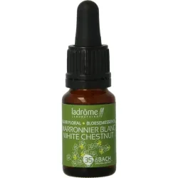 Ladrome White chestnut / paardekastanje bio