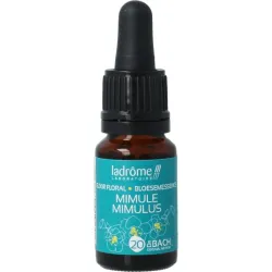 Ladrome Mimulus bio