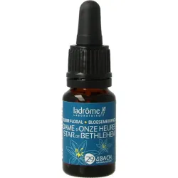 Ladrome Star of Bethlehem bio