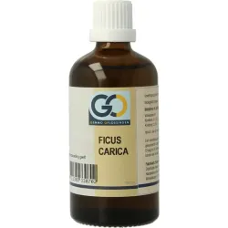 GO Ficus carica bio