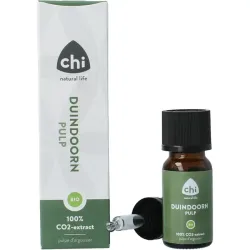 CHI Duindoorn pulp complex CO2 bio