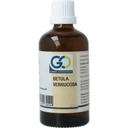 GO Betula verrucosa bio