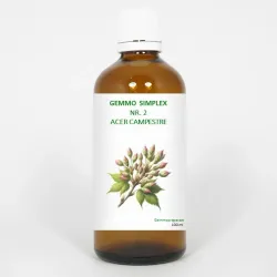 Balancepharma Gemmo simplex 2 acer campestre