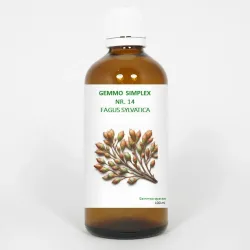 Balancepharma Gemmo simplex 14 fagus sylvatica