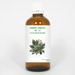 Balancepharma Gemmo simplex 19 ilex aquifolium