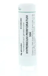 Homeoden Heel Hypericum perforatum 30K
