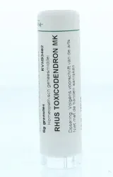 Homeoden Heel Rhus toxicodendron MK