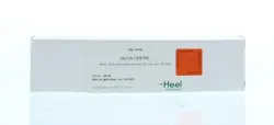 Homeoden Heel Ruta creme