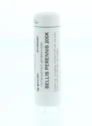 Homeoden Heel Bellis perennis 200K