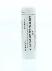 Homeoden Heel Eupatorium perfoliatum 30K