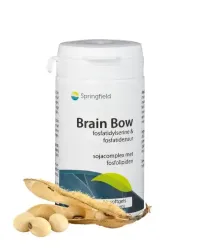 Springfield Brain bow