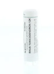 Homeoden Heel Rhus toxicodendron 12K