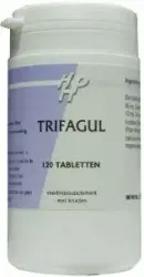 Holisan Trifagul