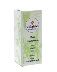Volatile Den pinus sylvestrus