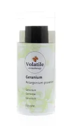 Volatile Geranium maroc