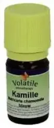 Volatile Kamille blauw
