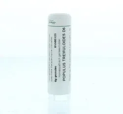 Homeoden Heel Populus tremuloides D6