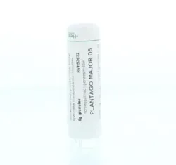 Homeoden Heel Plantago major D6