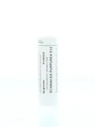 Homeoden Heel Echinacea purpurea D12