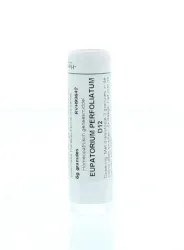 Homeoden Heel Eupatorium perfoliatum D12