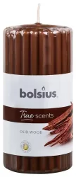 Bolsius True Scents stompkaars geur 120/58 old wood