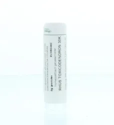 Homeoden Heel Rhus toxicodendron 30K