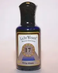 Lichtwesen Pallas athene olie 17