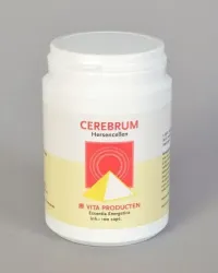Vita Cerebrum
