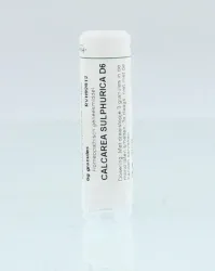 Homeoden Heel Calcarea sulphurica D6