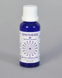 Vita Syntheses 66 primaire zenuwen