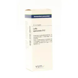 VSM Cuprum metallicum LM30