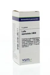 VSM Luffa operculata LM30