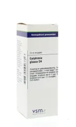 VSM Galphimia glauca D4