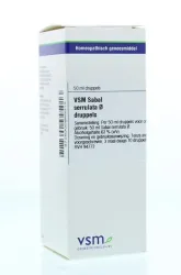 VSM Sabal serrulata oer
