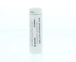 Homeoden Heel Ginkgo biloba LM30