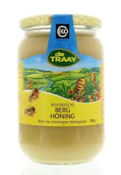 Traay Berghoning bio