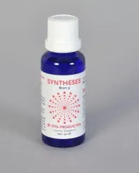 Vita Syntheses bron 9 metafysische energie